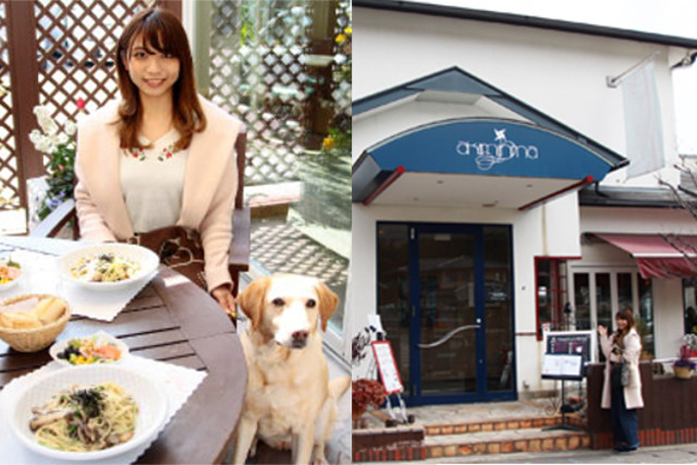 京都観光中に【木谷わんわんタクシー】を利用して犬連れOKのカフェでランチを楽しむ風景