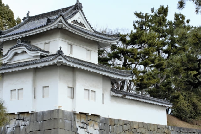 【京都市祇園】貸切ペットタクシーで観光するならここがおすすめ！