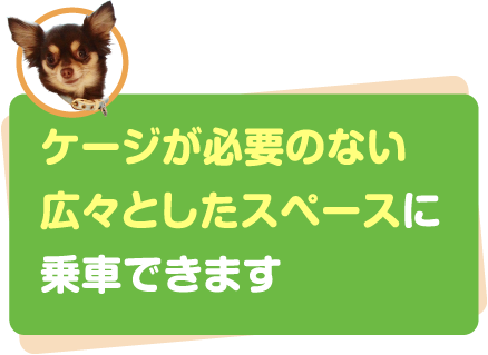 ケージが必要のない広々としたスペースに乗車できます