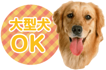 京都 個人タクシー 大型犬OK