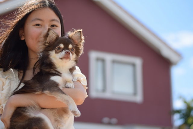 嵐山を観光タクシーでまわるなら！大型犬OKの【木谷わんわんタクシー】