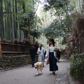 嵐山 京都 嵯峨野