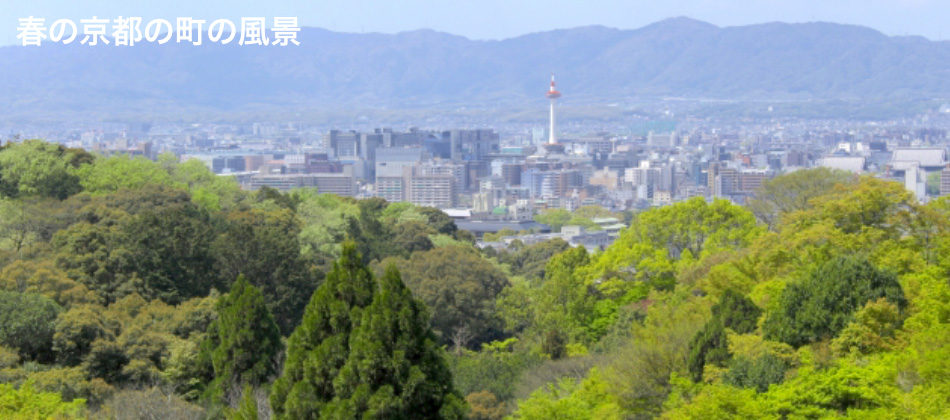 春の京都の町の風景 京都観光 犬連れ 宿泊