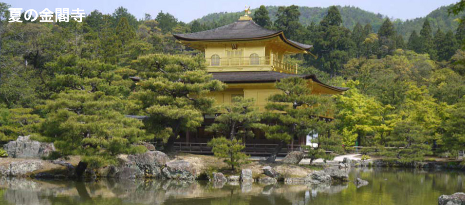 夏の金閣寺 京都 個人タクシー 大型犬OK