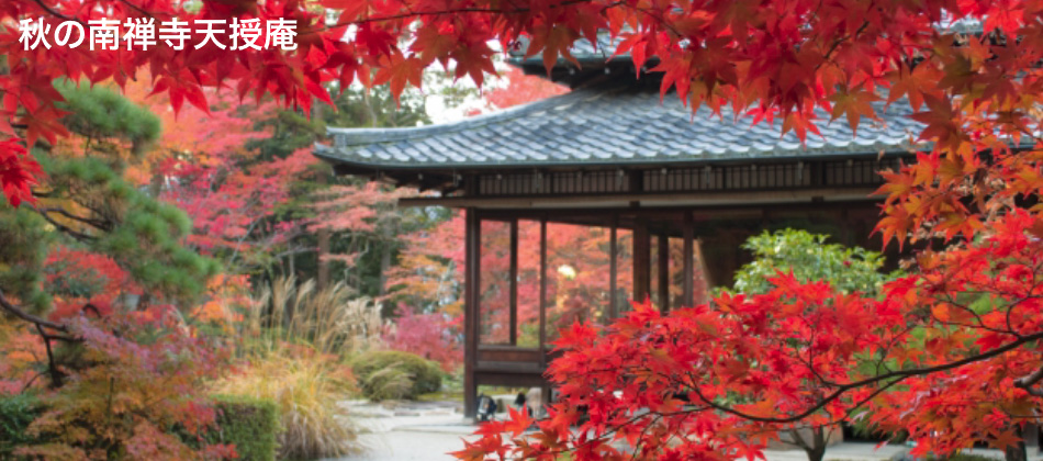 秋の南禅寺天授庵 観光タクシー ペット可